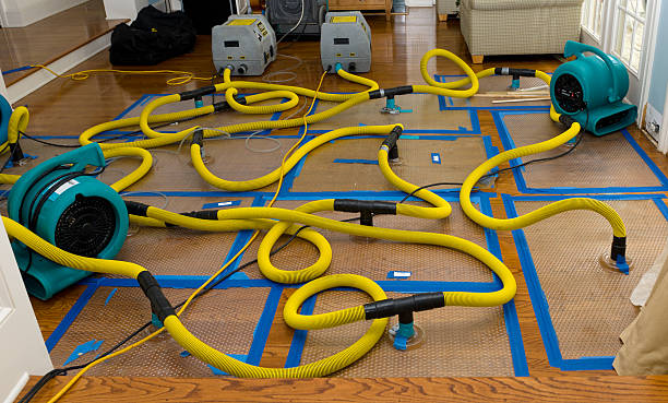 Professional Sewage Cleanup technician working in Erin, TN